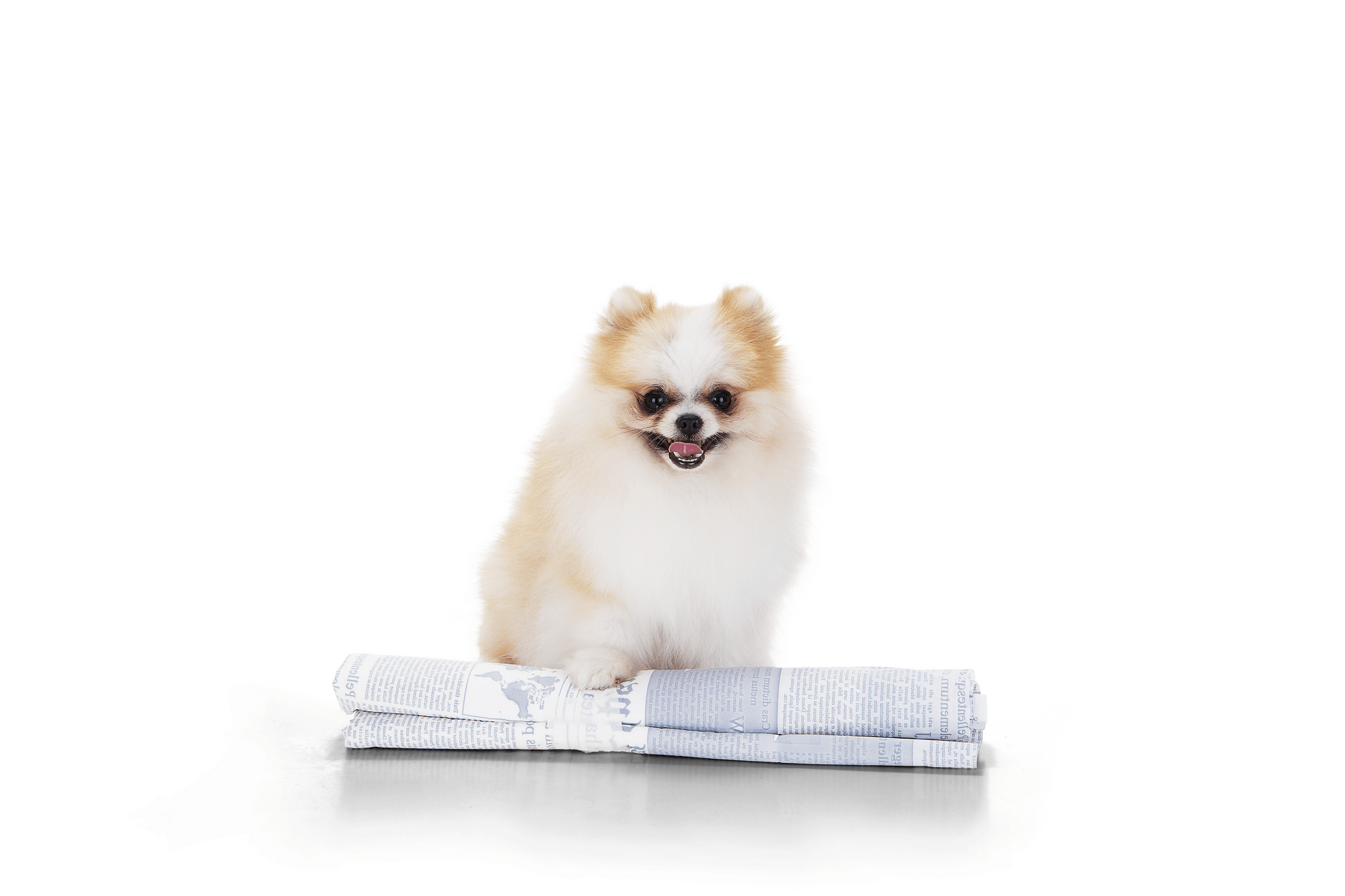 Edu Leporo Fotografia 74