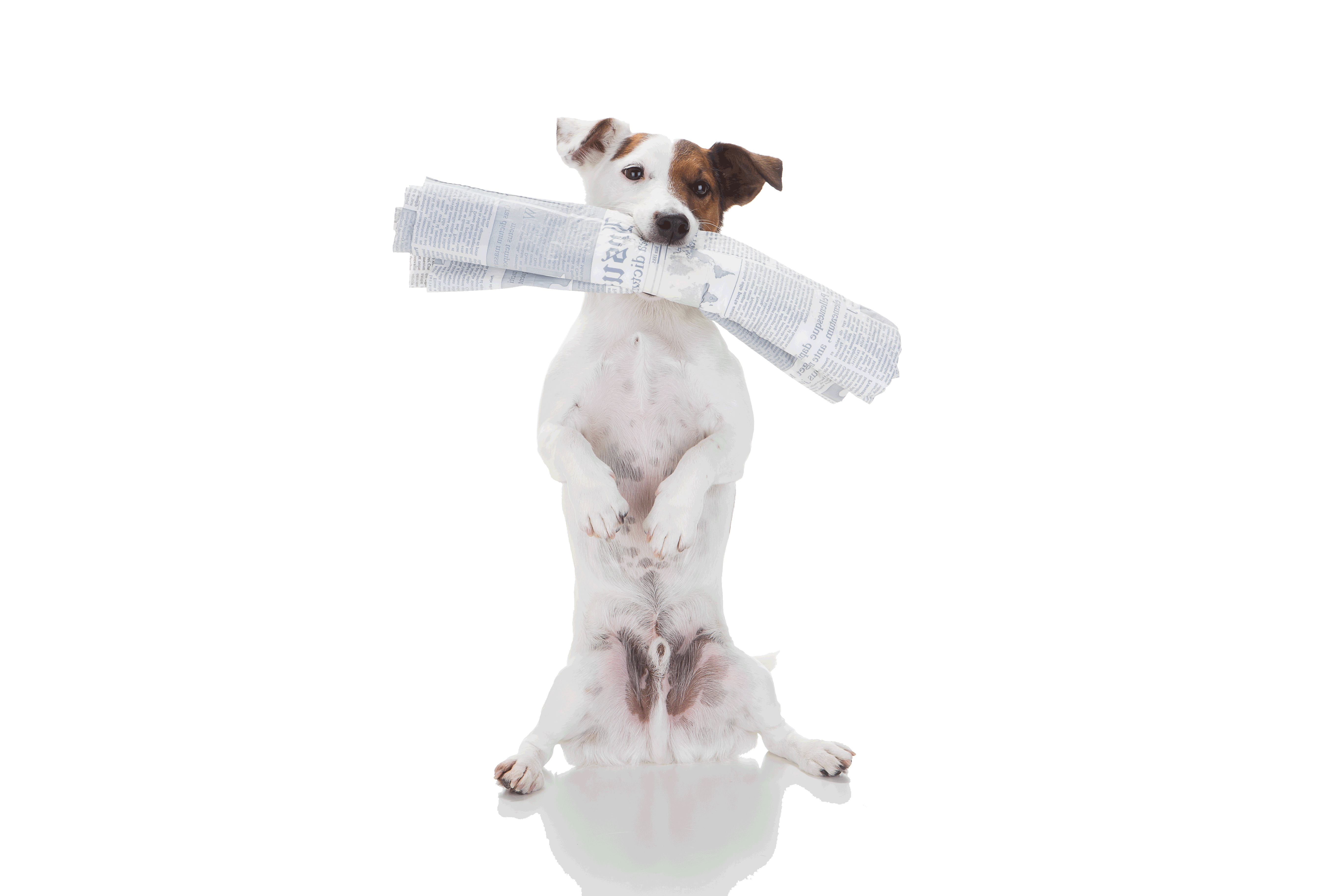 Edu Leporo Fotografia 31 1