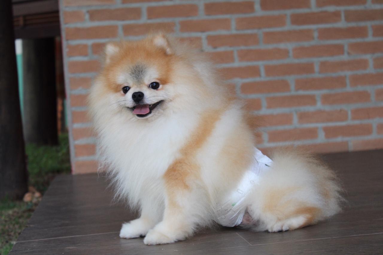 WhatsApp Image 2020 02 04 at 12.03.38