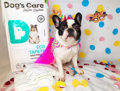 5 produtos que vão permitir que você leve o seu pet na folia do carnaval