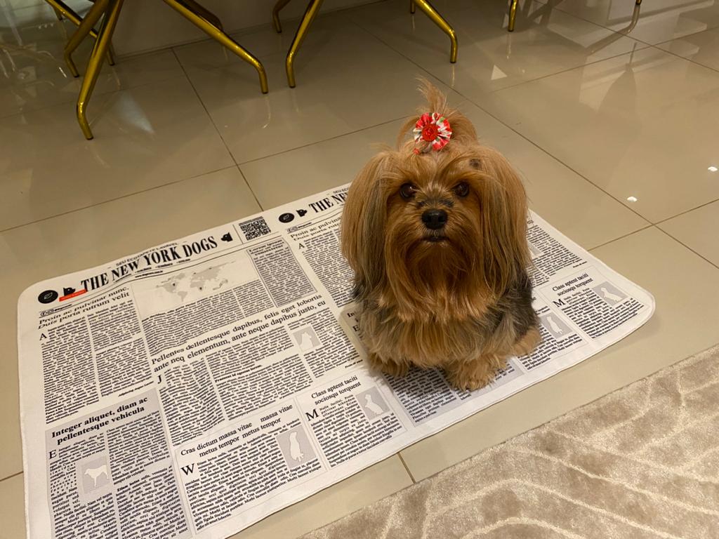 eco Tapete higienico the new york dogs lavavel 1