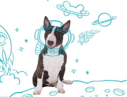 Eco Tapete Higiênico Ultra Slim Dog’s Care