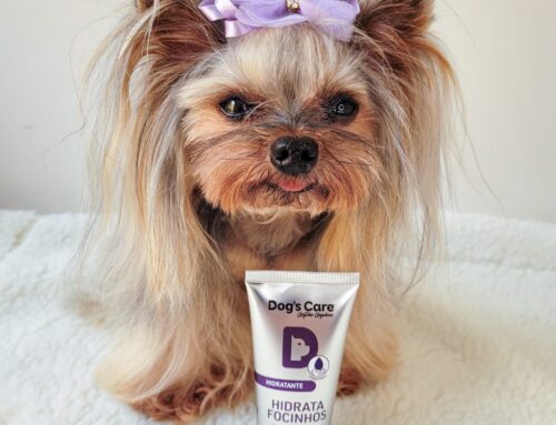 Com a chegada do frio, o focinho dos pets necessita de cuidados e hidratação para evitar rachaduras