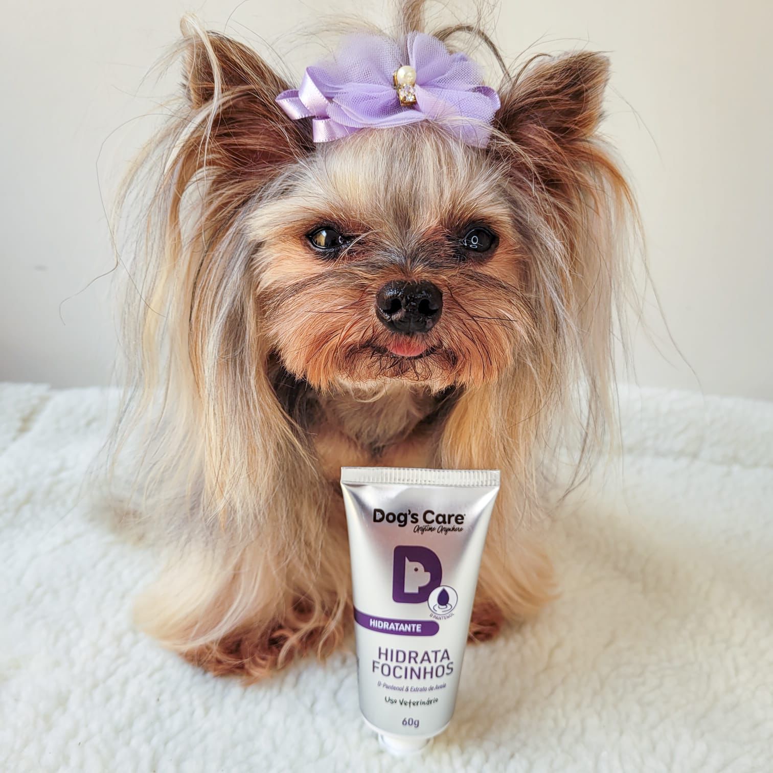 WhatsApp Image 2022 06 13 at 11.29.09 1