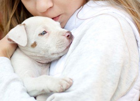 Los animales como terapia al Trastorno del Espectro Autista