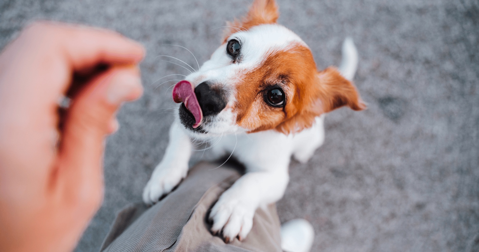 8019dd5c 4bce 4d64 9bfc fbcaf4f1db22