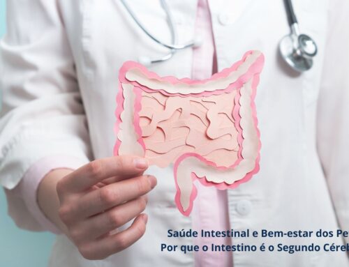 Saúde Intestinal e Bem-estar dos Pets – Por que o Intestino é o Segundo Cérebro?